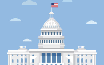 Big Government, Small Business:  A Guide to the SBIR and STTR Programs